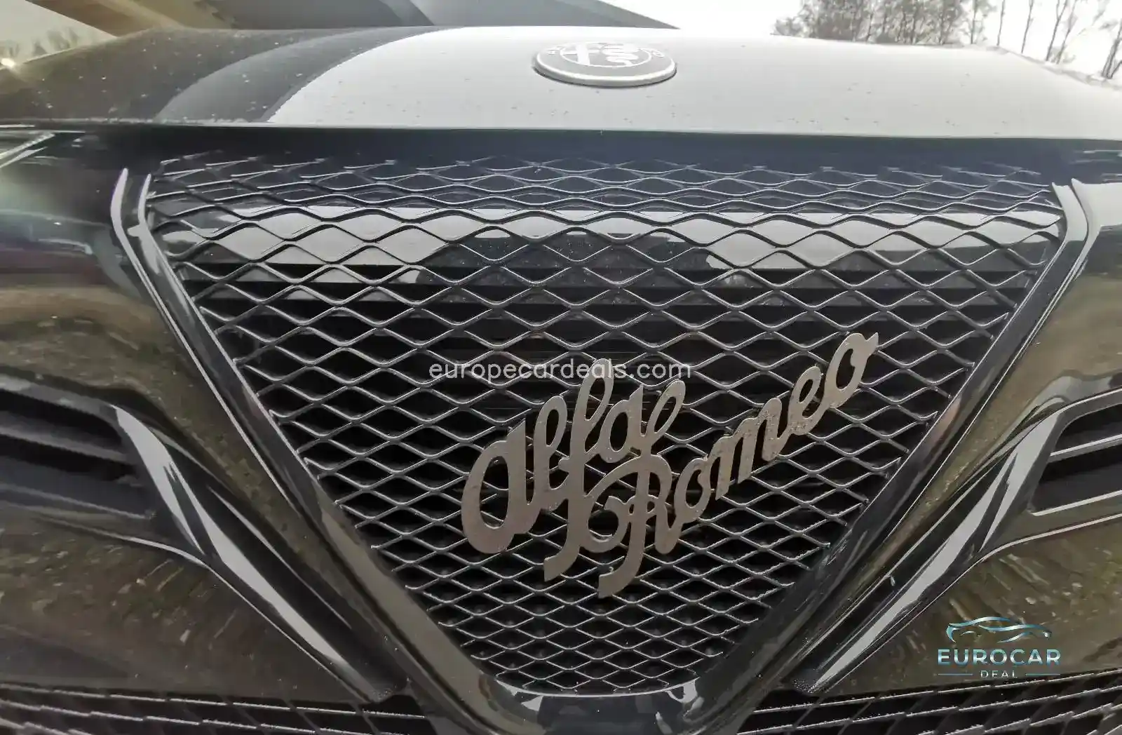 Alfa Romeo Junior
