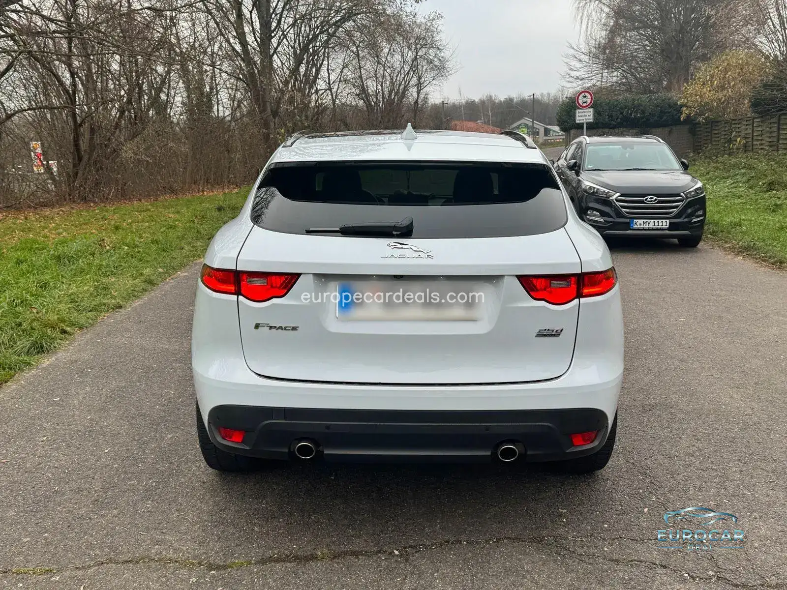 Jaguar Other