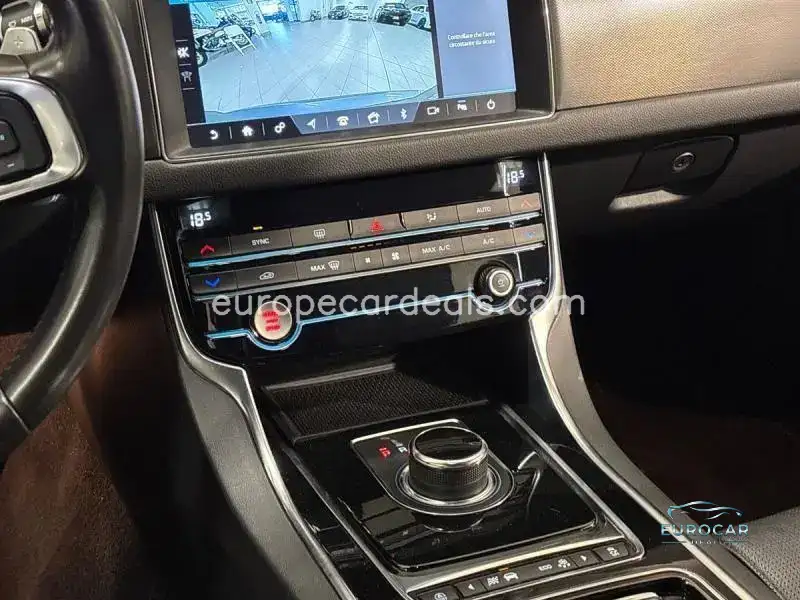 Jaguar Other