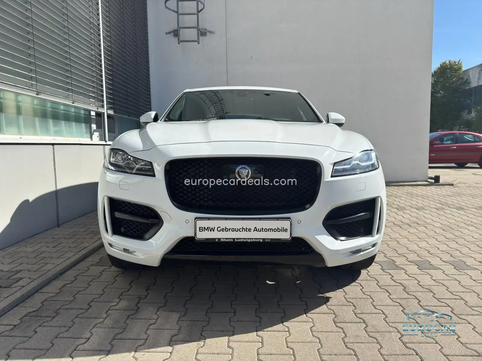 Jaguar Other