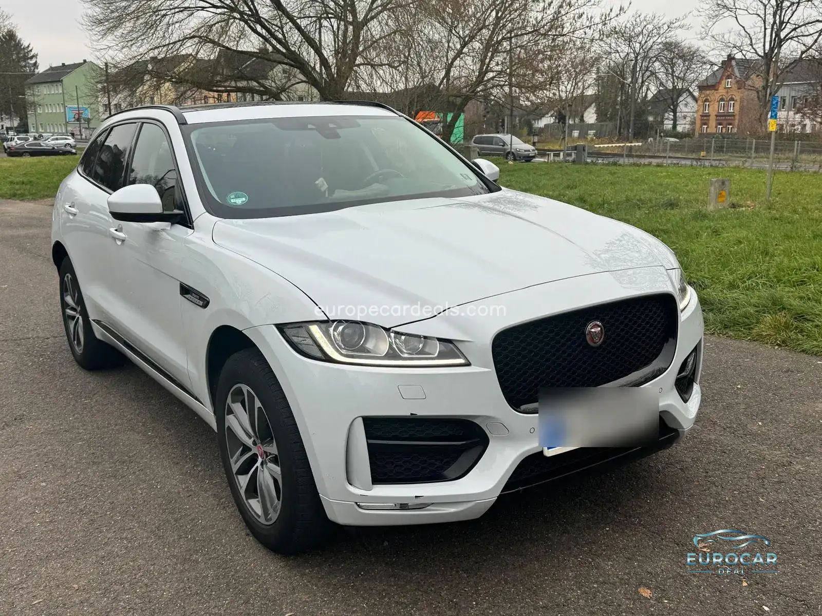 Jaguar Other