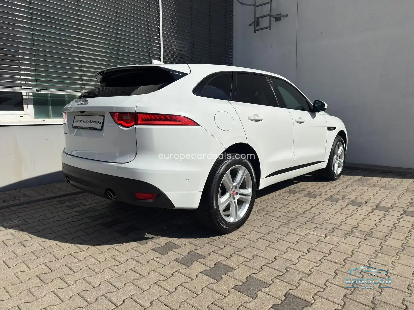 Jaguar Other
