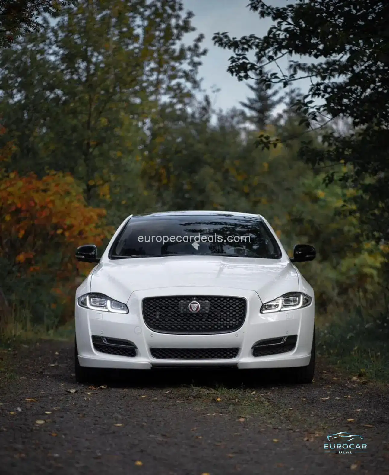 Jaguar XJR