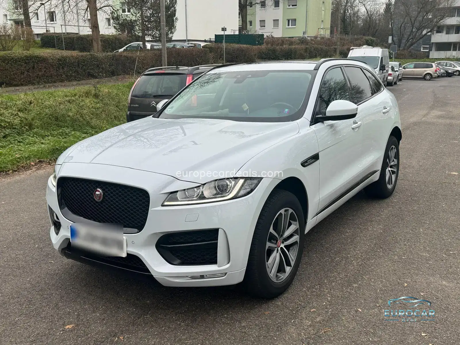 Jaguar Other