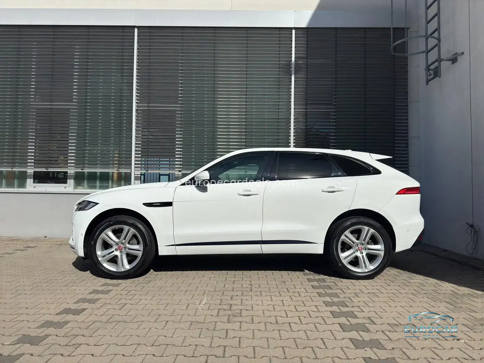 Jaguar Other