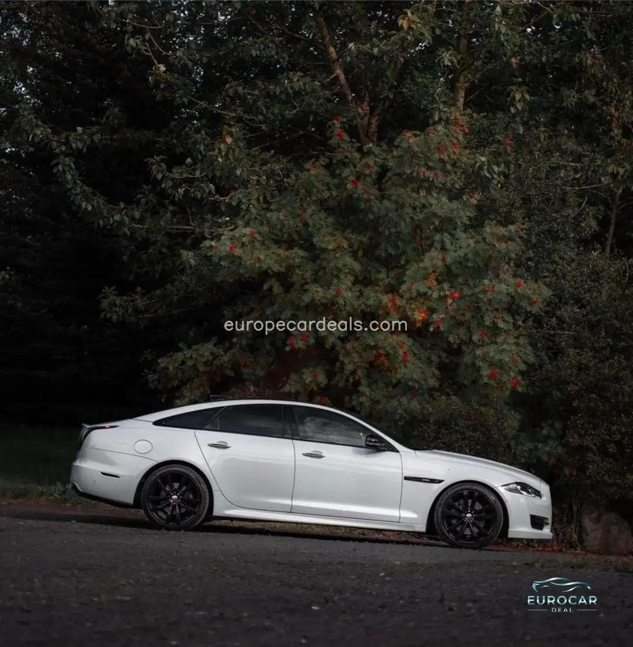 Jaguar XJR
