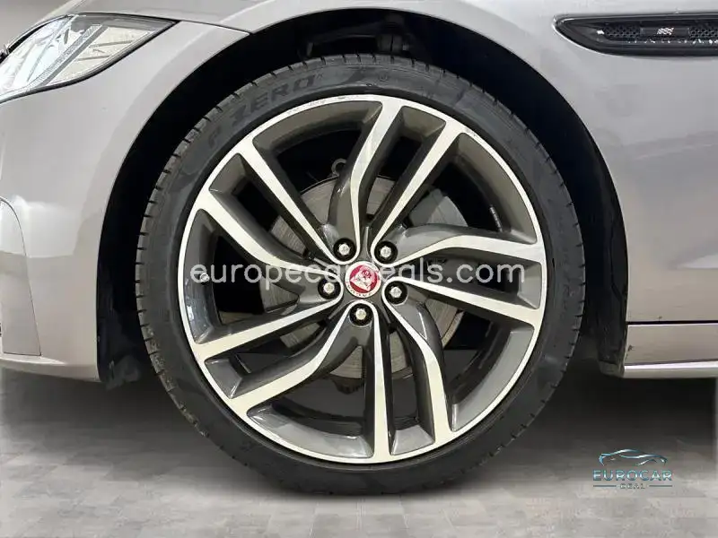 Jaguar Other