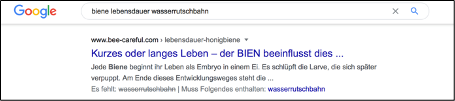 Deutsch; Recherche; 6. Primar; Recherche im Internet: Suchmaschinen und Quellenkritik