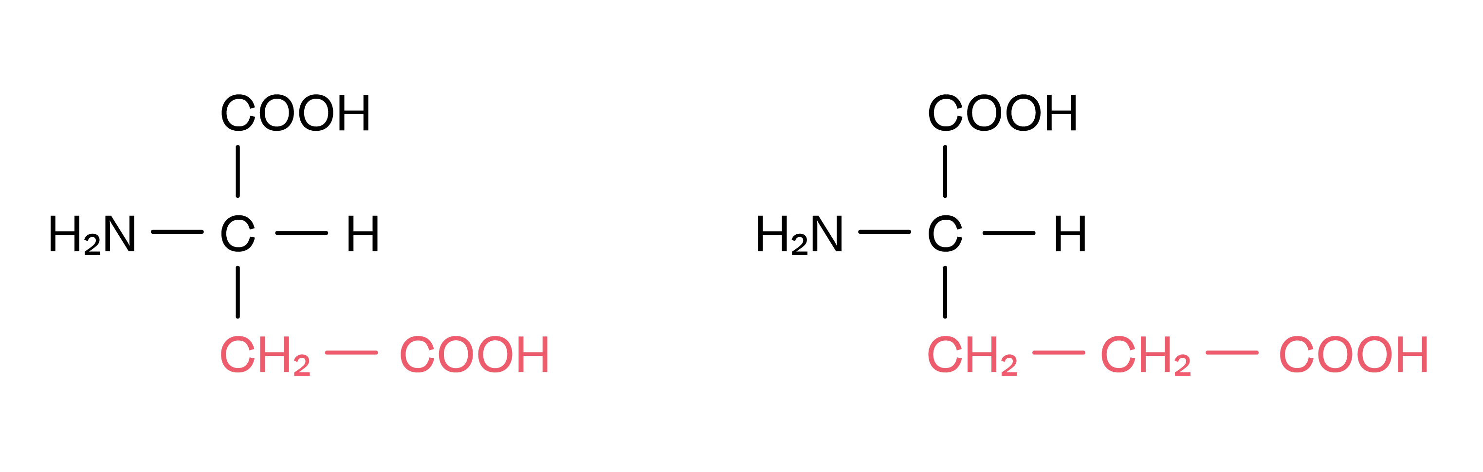 Chemie; Aminosäuren und Proteine; 3. Gymi; Grundstruktur und Einteilung von Aminosäuren