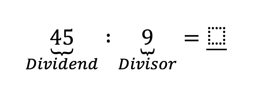 Mathematik; Dividieren; 3. Primar; Dividieren im Einmaleins bis 100