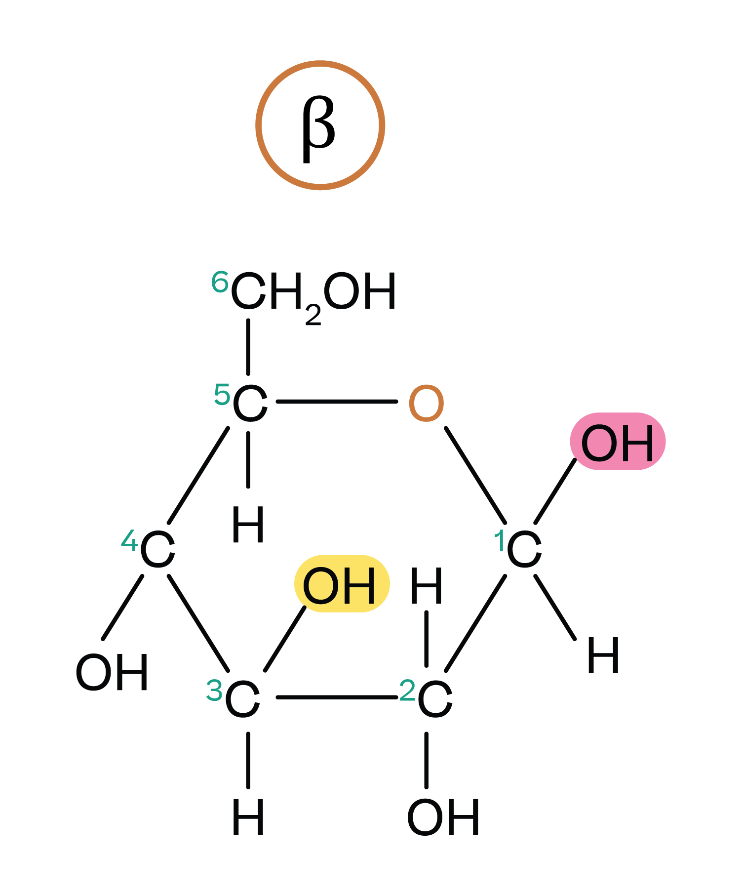 Chemie; Kohlenhydrate; 3. Gymi; ​Monosaccharide zeichnen & Fischer-Projektion