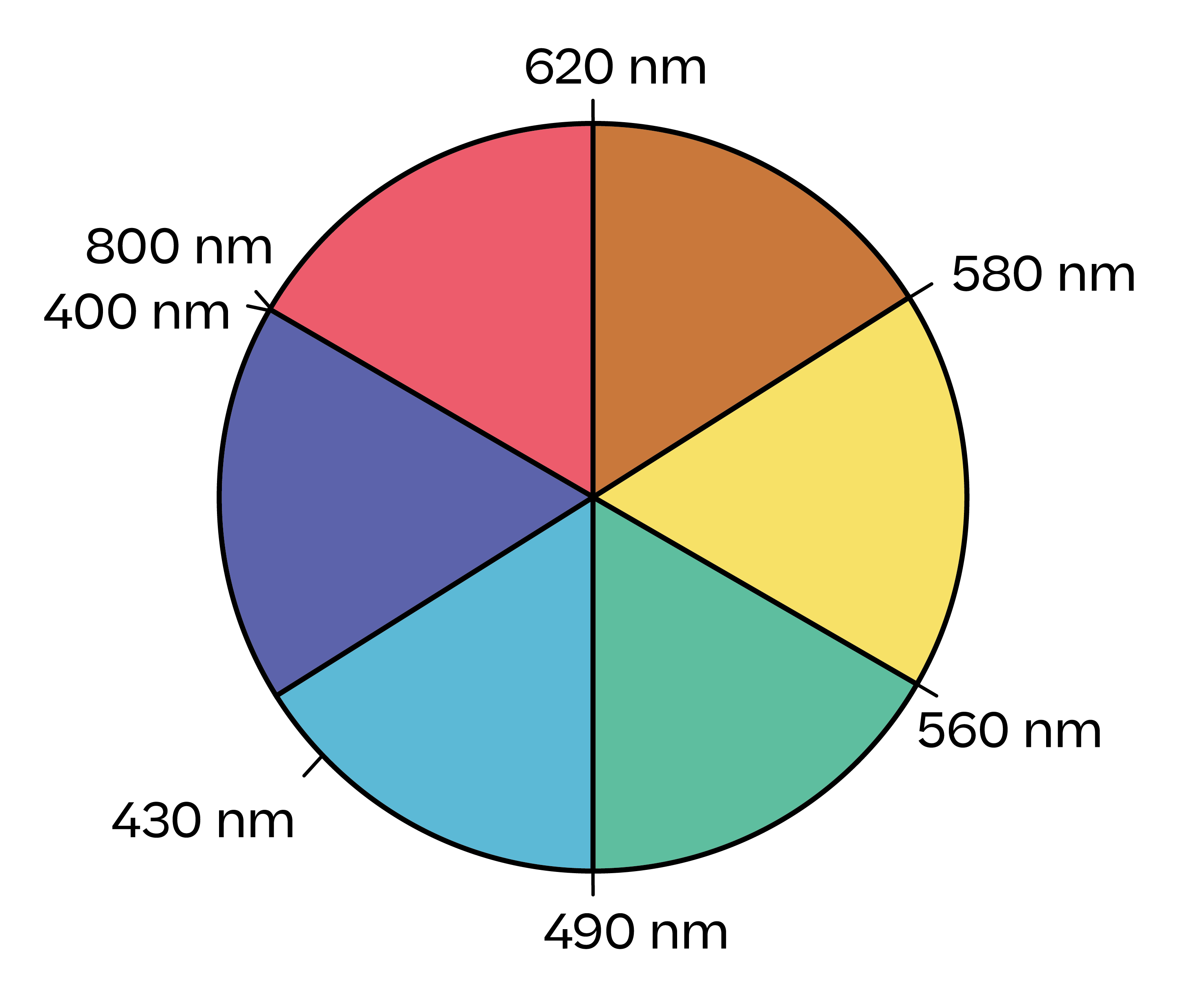Chemie; Farbstoffe; 3. Gymi; Das elektromagnetische Spektrum und Farbwahrnehmung