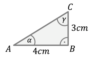 Mathematik; Trigonometrie; 9. Klasse Gymnasium; Sinus und Kosinus im Dreieck: Definition & Werte