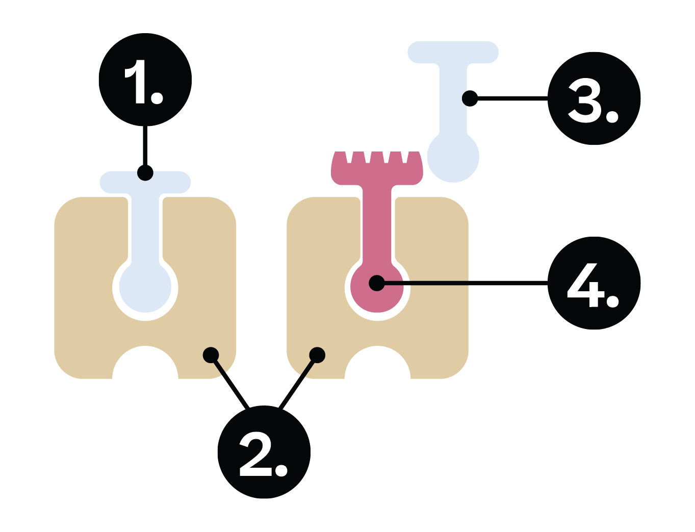 Biology; Biological molecules; KS5 Year 12; Factors affecting enzyme activity