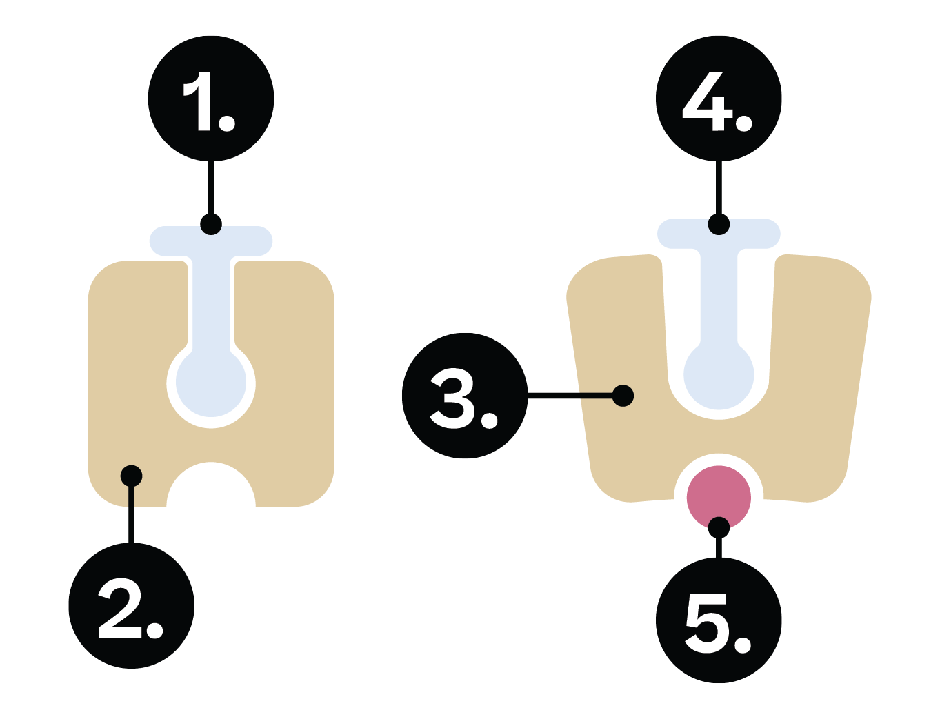 Biology; Biological molecules; KS5 Year 12; Factors affecting enzyme activity