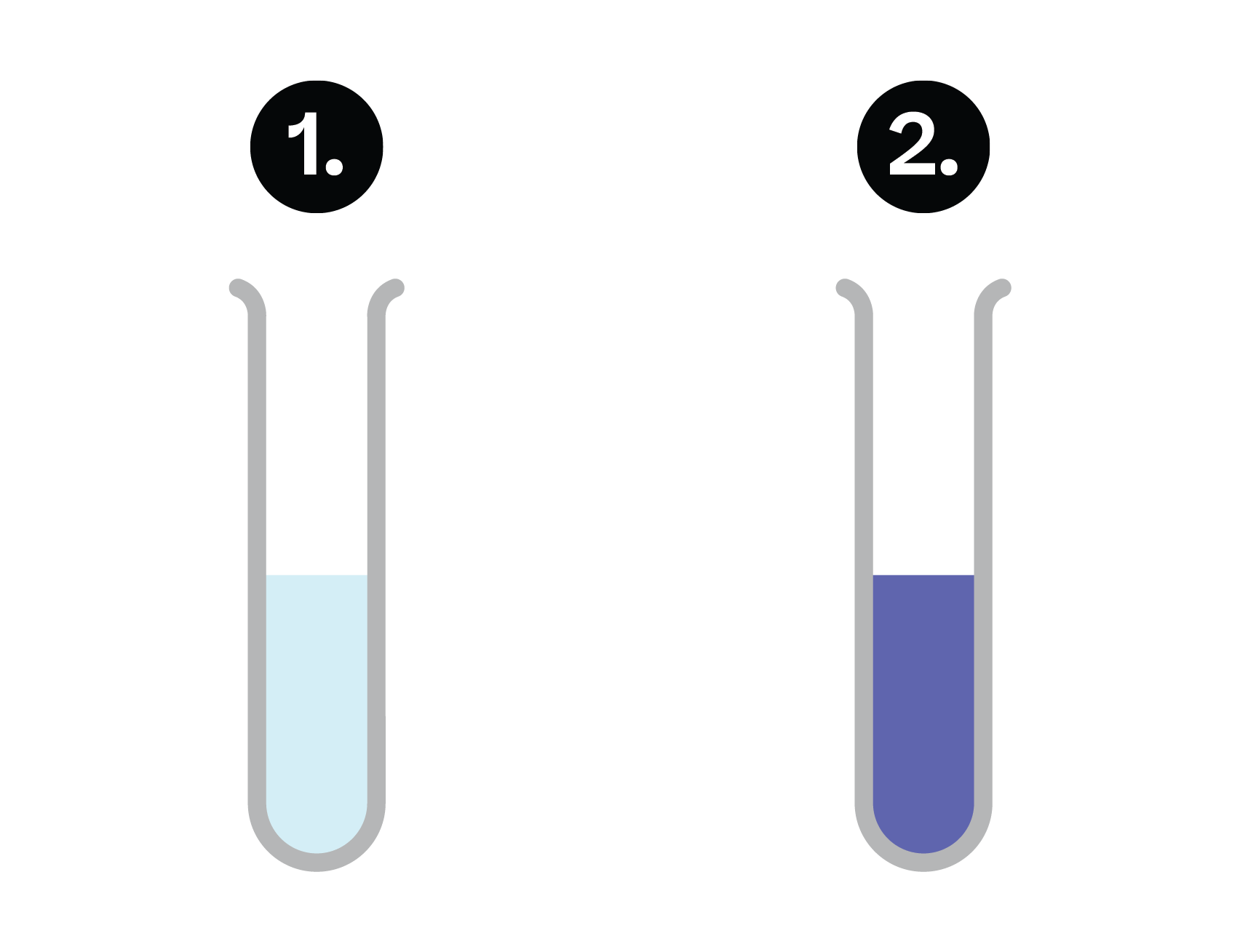 Biology; Biological molecules; KS5 Year 12; The structure and function of proteins