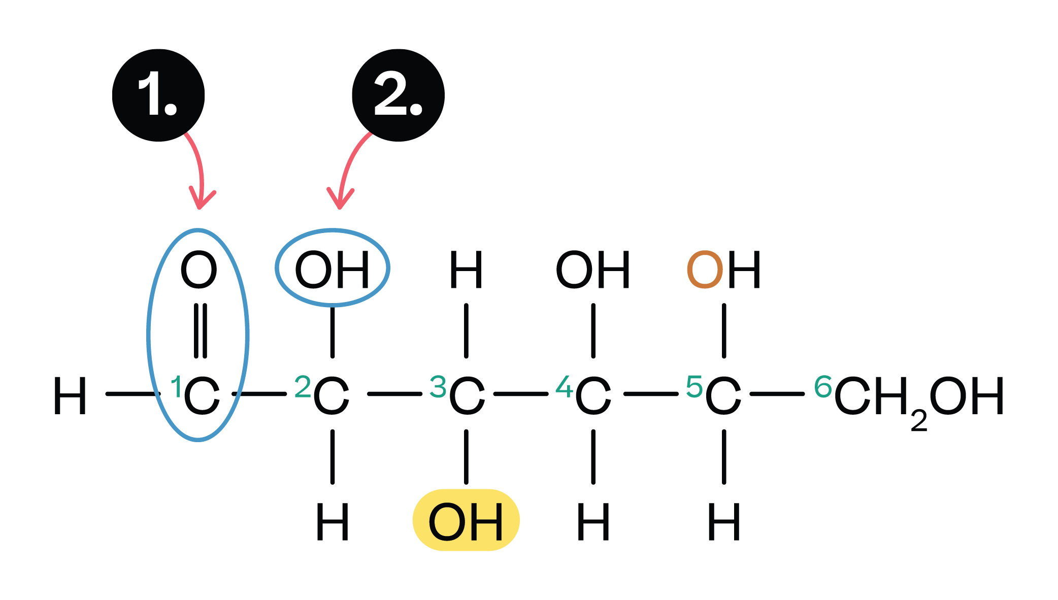 25.8: Disaccharides - Chemistry LibreTexts