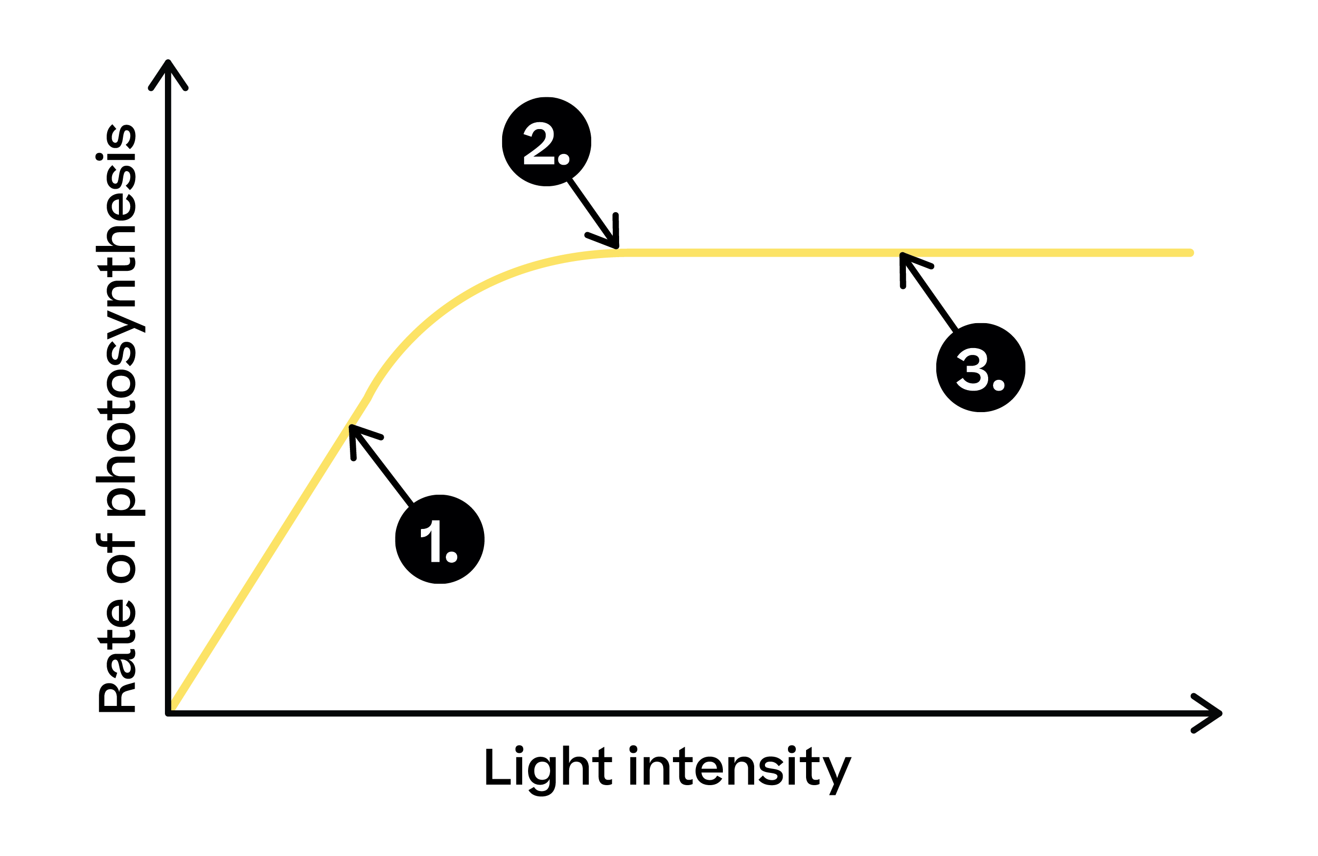 Biology; Energy for biological processes; KS5 Year 12; Factors affecting the rate of photosynthesis