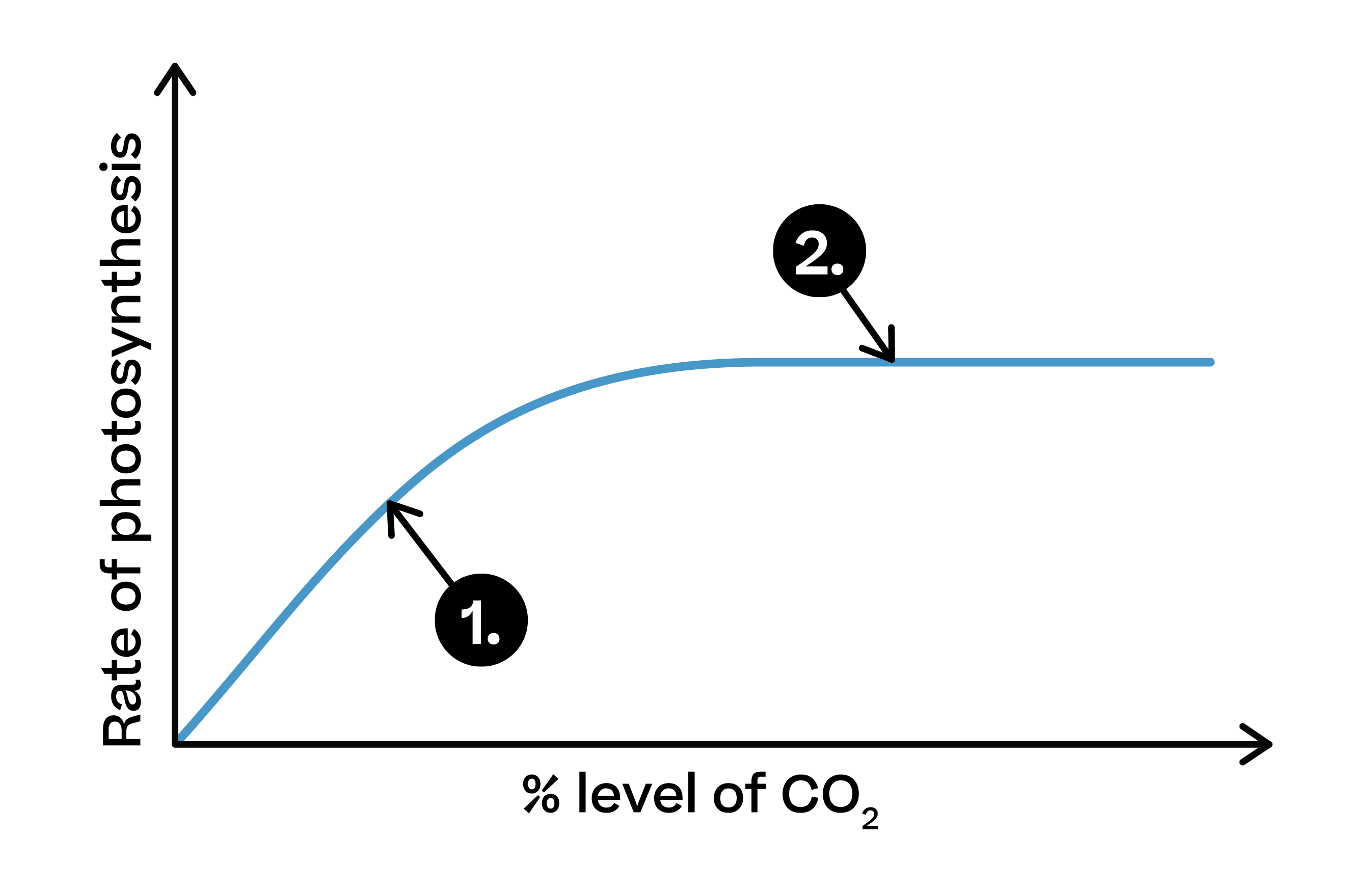 Biology; Energy for biological processes; KS5 Year 12; Factors affecting the rate of photosynthesis