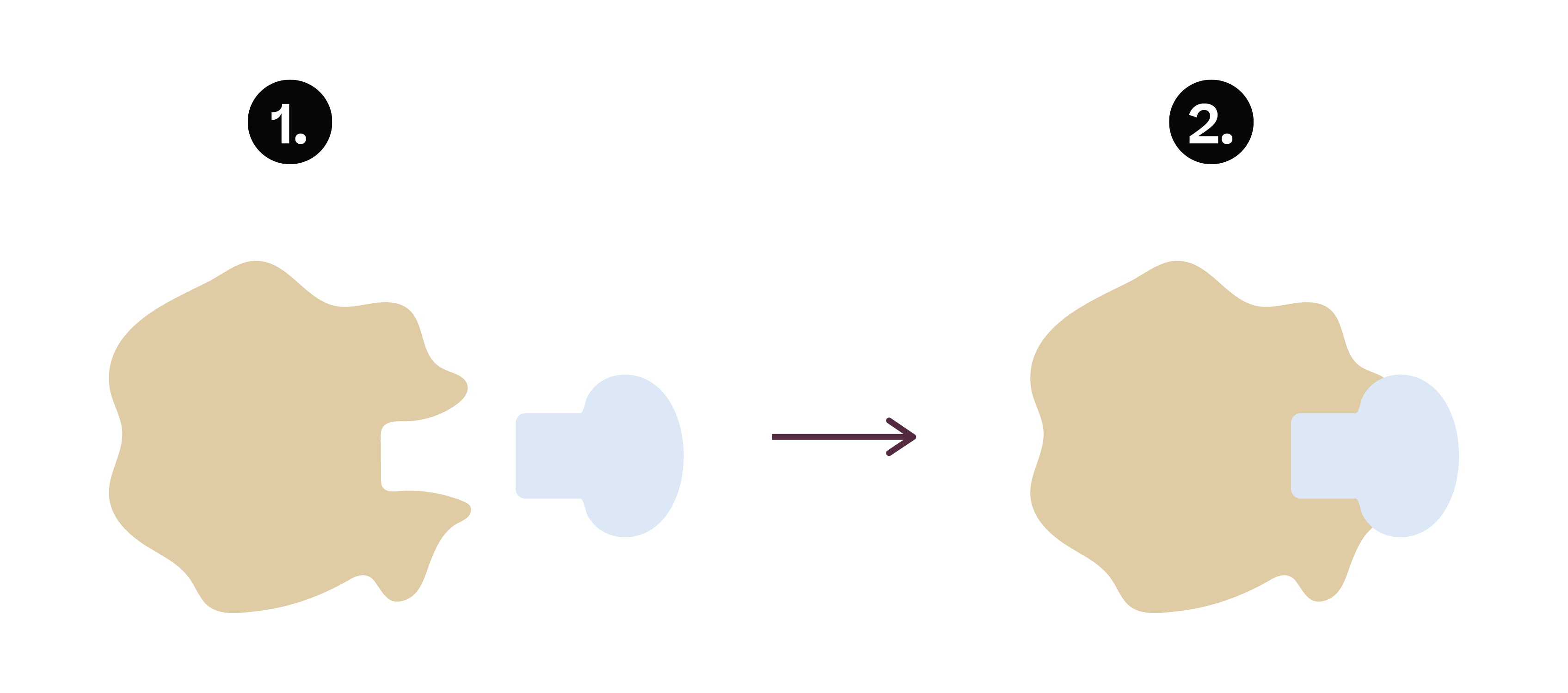 Biology; Key concepts; KS4 Year 10; Enzymes