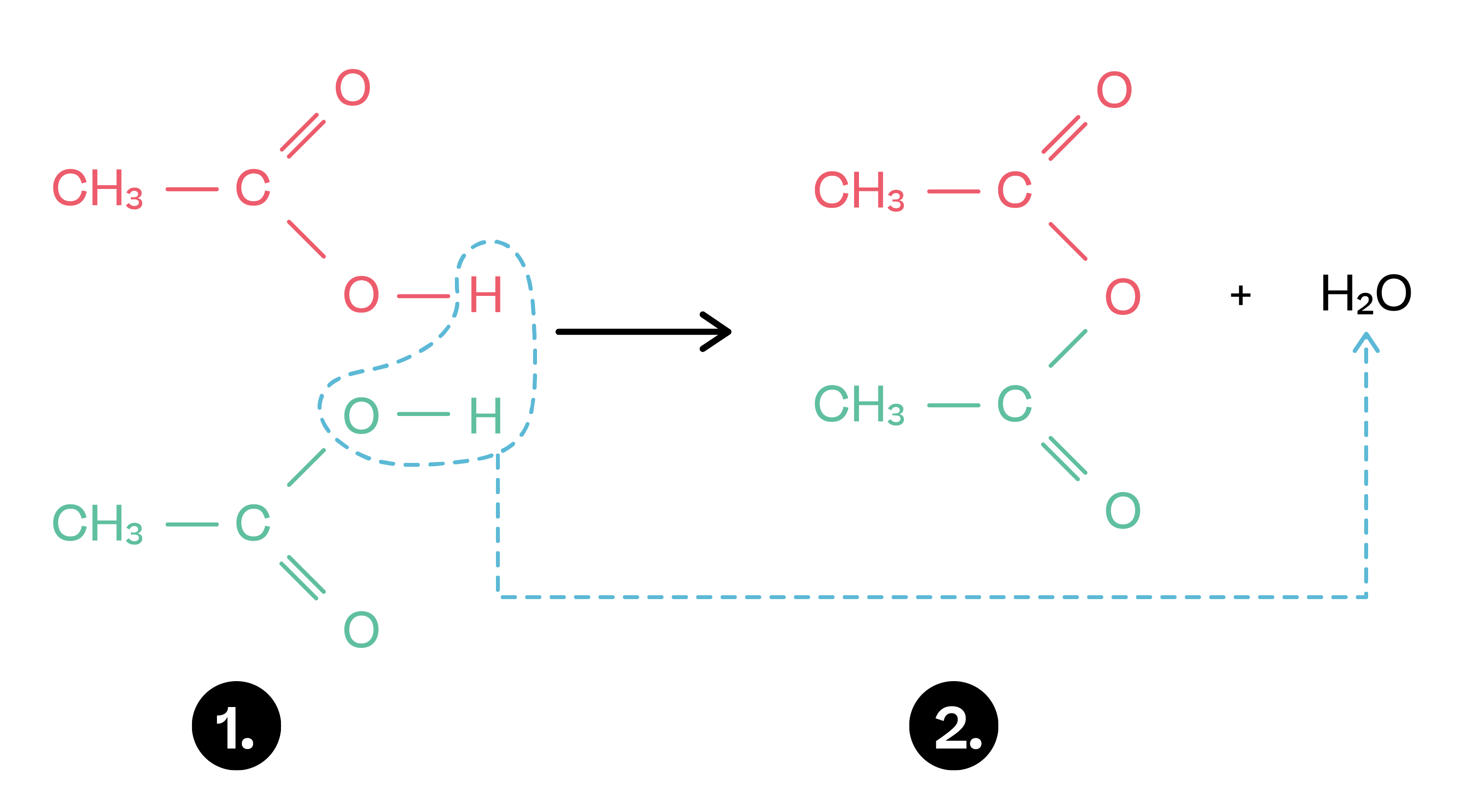 Chemistry; Organic chemistry II; KS5 Year 12; Acyl chlorides: formation and reactions