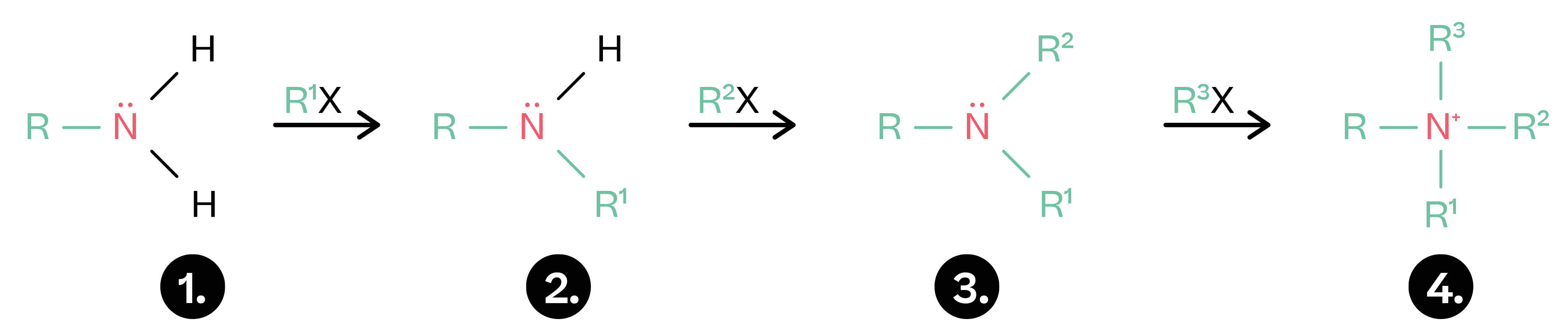 Chemistry; Organic chemistry III; KS5 Year 12; Reactions of amines