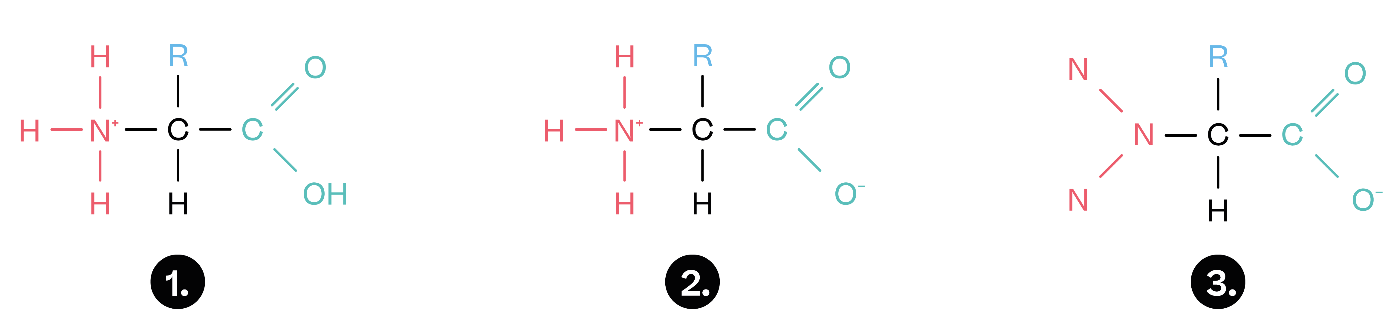 Chemistry; Organic chemistry III; KS5 Year 12; Amino acids and zwitterions