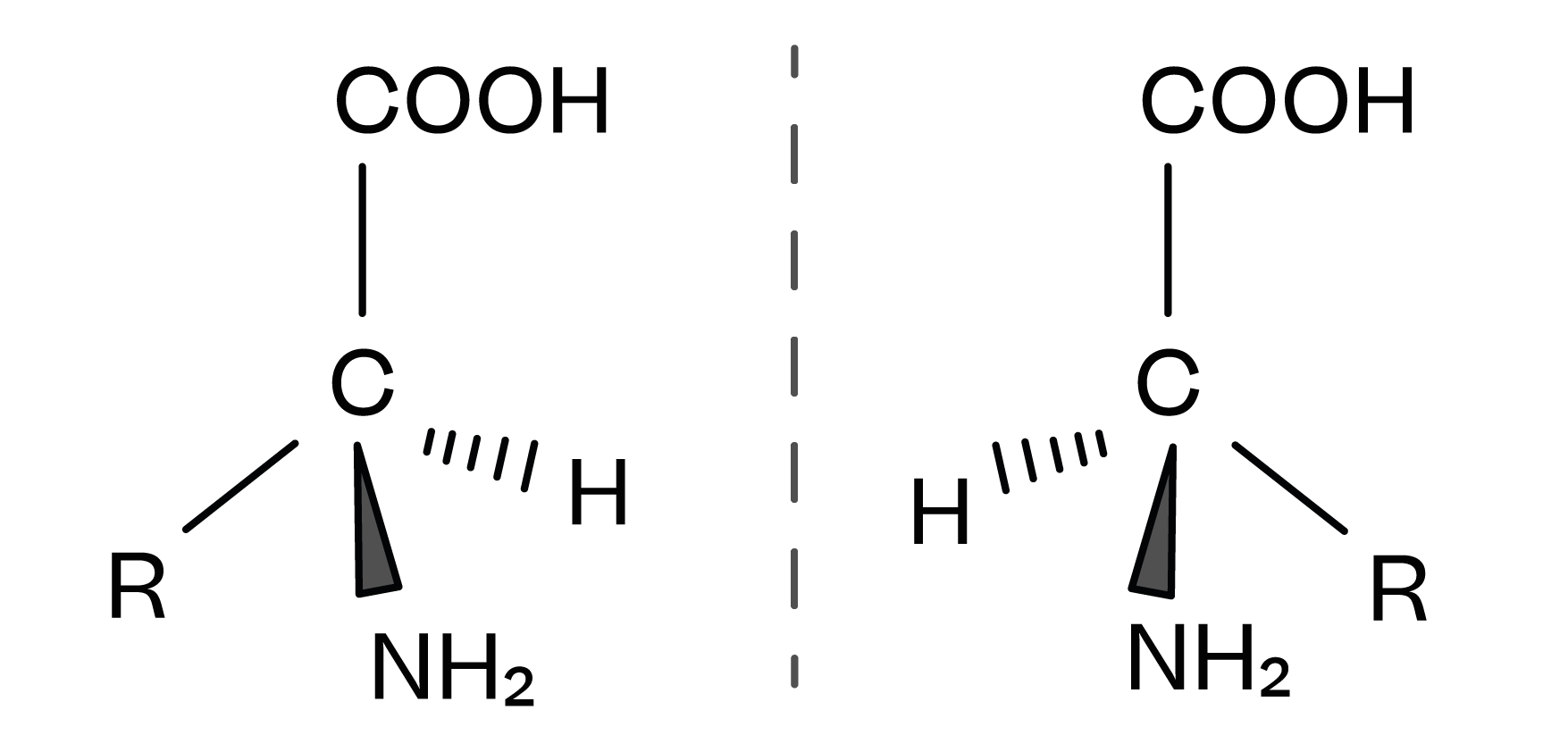 Chemistry; Organic chemistry III; KS5 Year 12; Amino acids and zwitterions