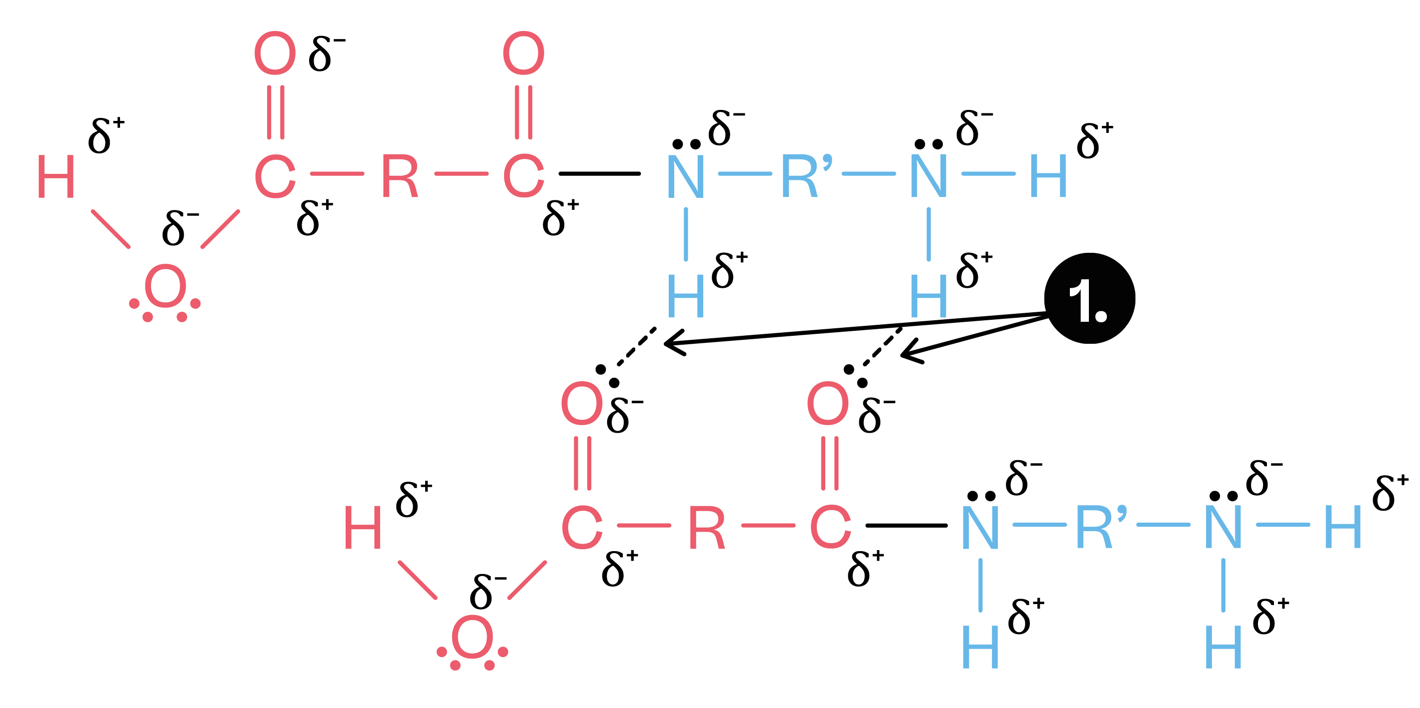 Chemistry; Organic chemistry III; KS5 Year 12; Condensation polymers