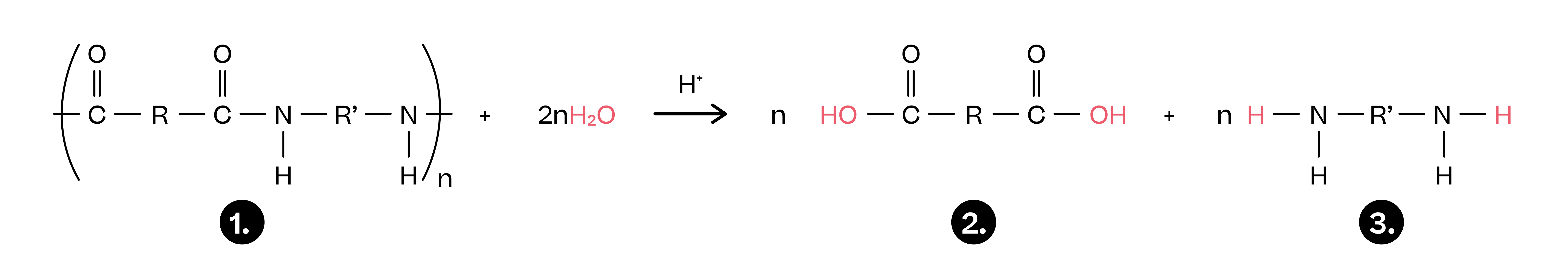 Chemistry; Amines and polymers; KS5 Year 12; Acid and base hydrolysis of polymers