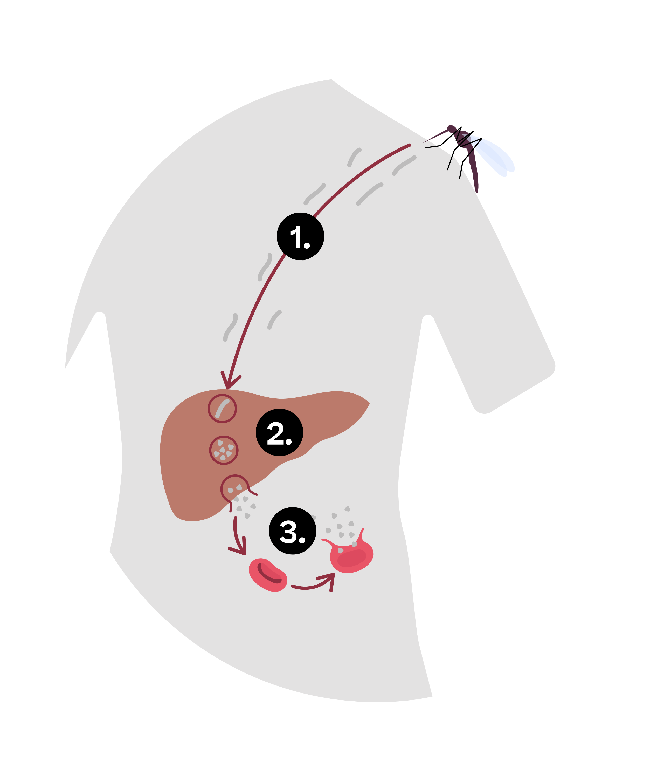 Evulpo Other Pathogenic Agents