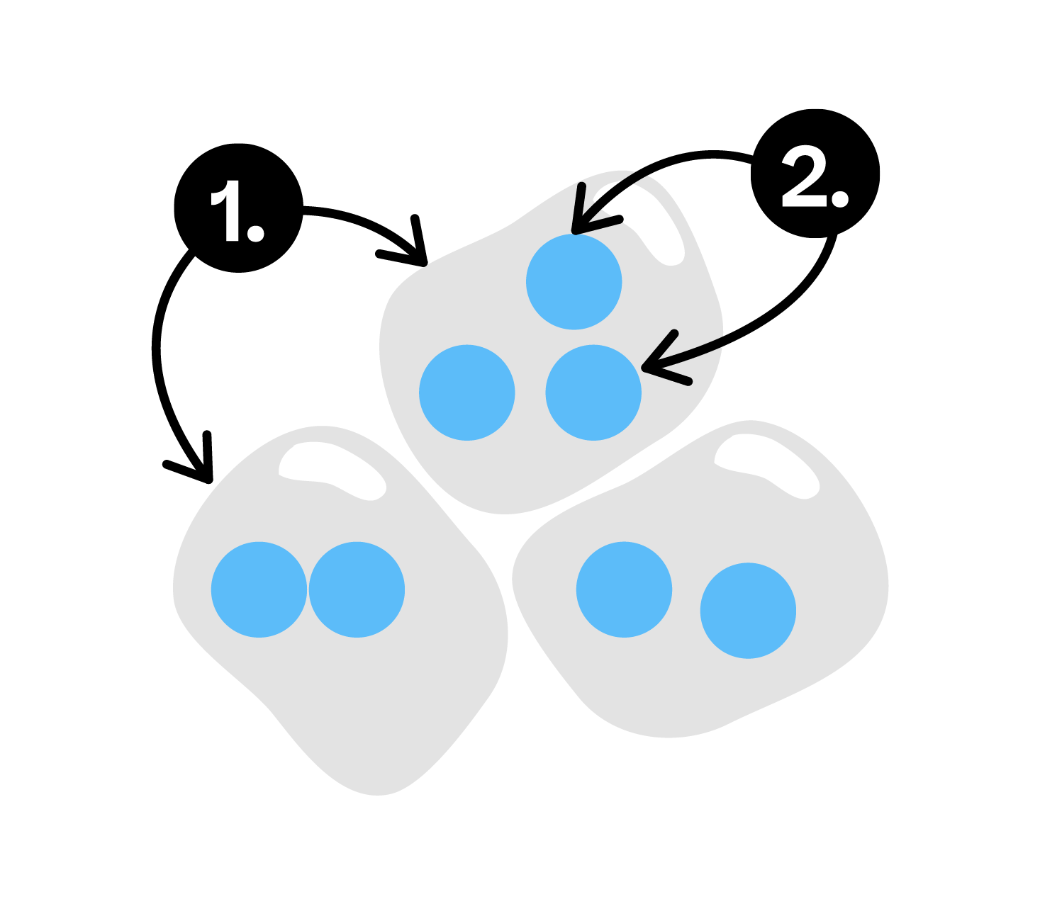 Biology; Cloning and biotechnology; KS5 Year 12; Immobilised enzymes in biotechnology