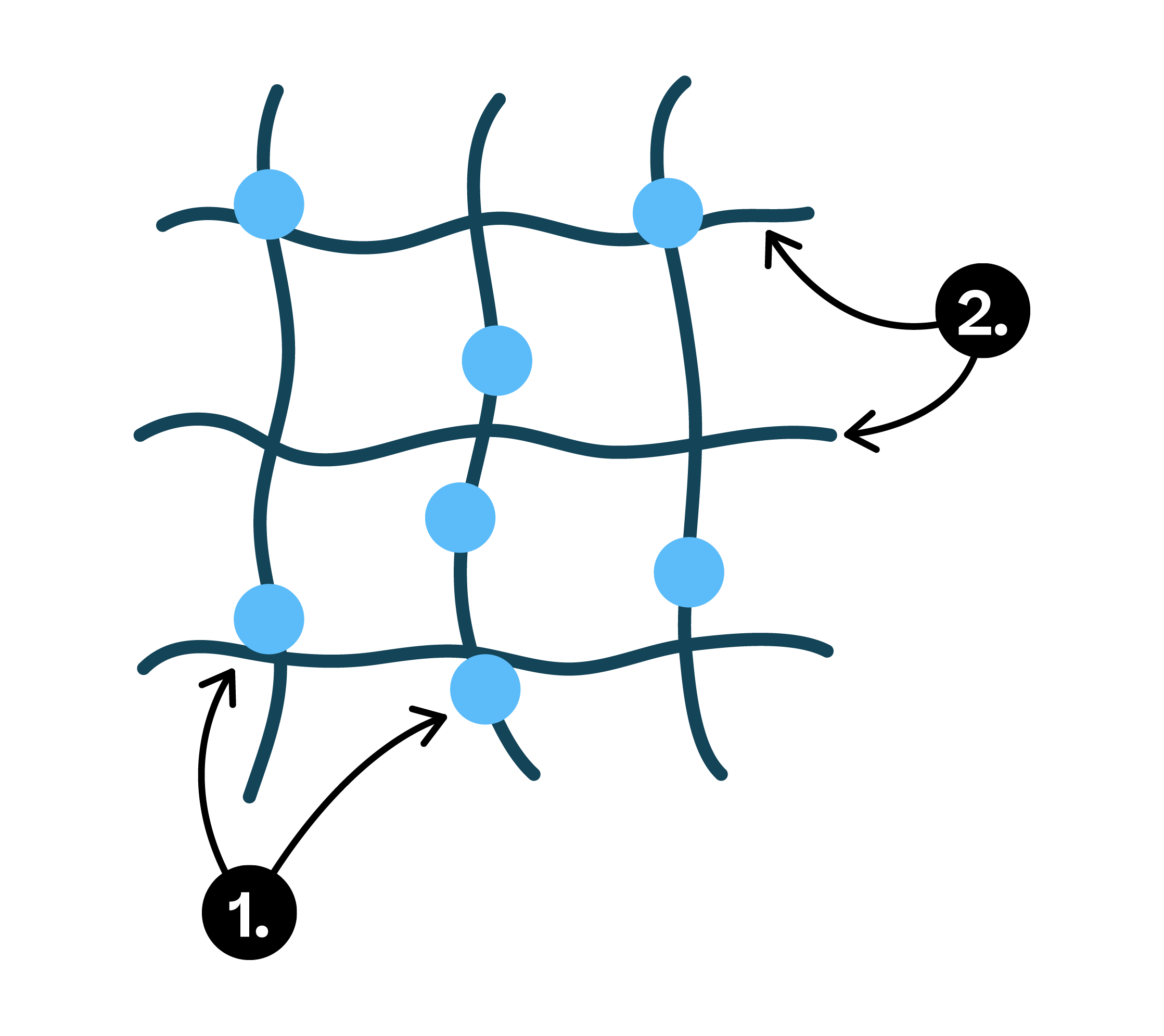 Biology; Cloning and biotechnology; KS5 Year 12; Immobilised enzymes in biotechnology