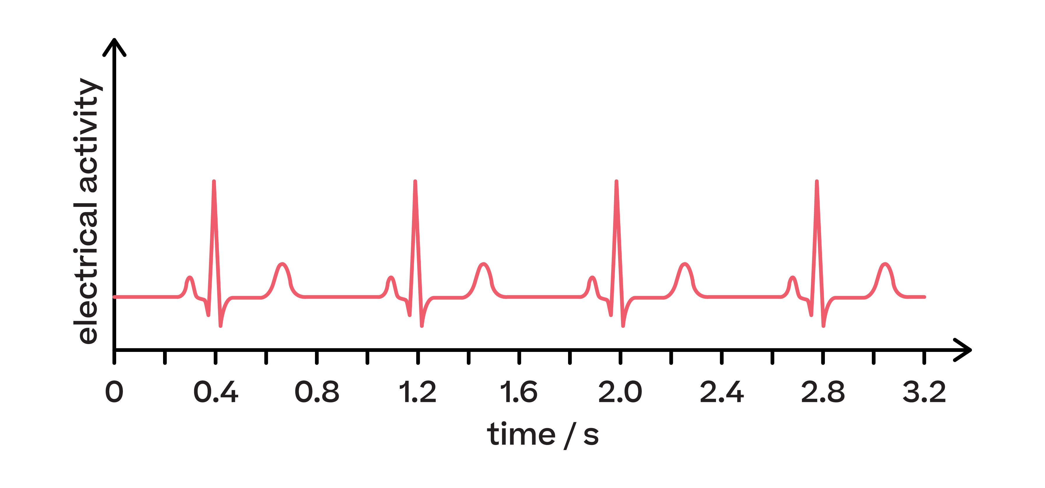 Biology; Exchange and transport; KS5 Year 12; Heart rate regulation and electrocardiograms