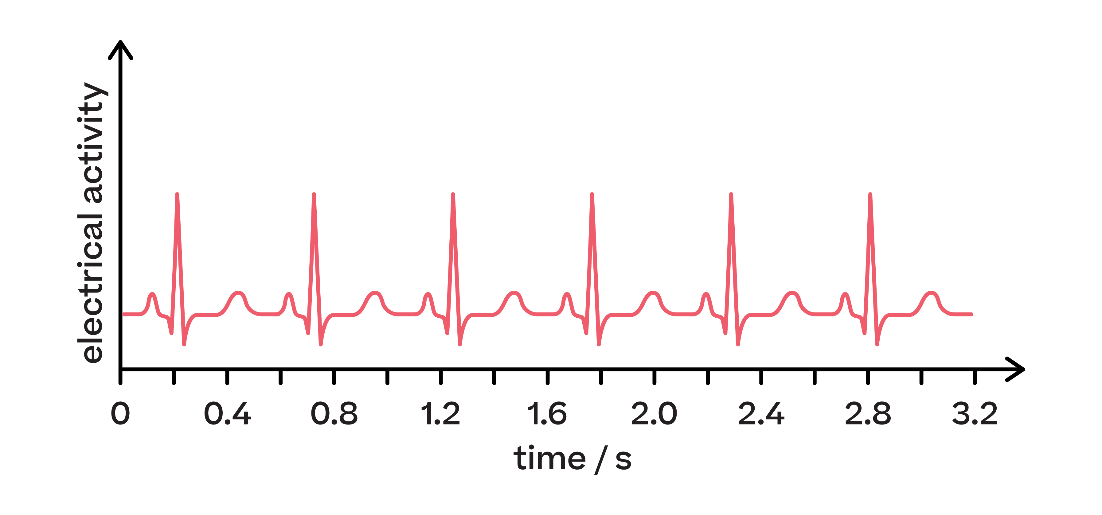 Biology; Exchange and transport; KS5 Year 12; Heart rate regulation and electrocardiograms