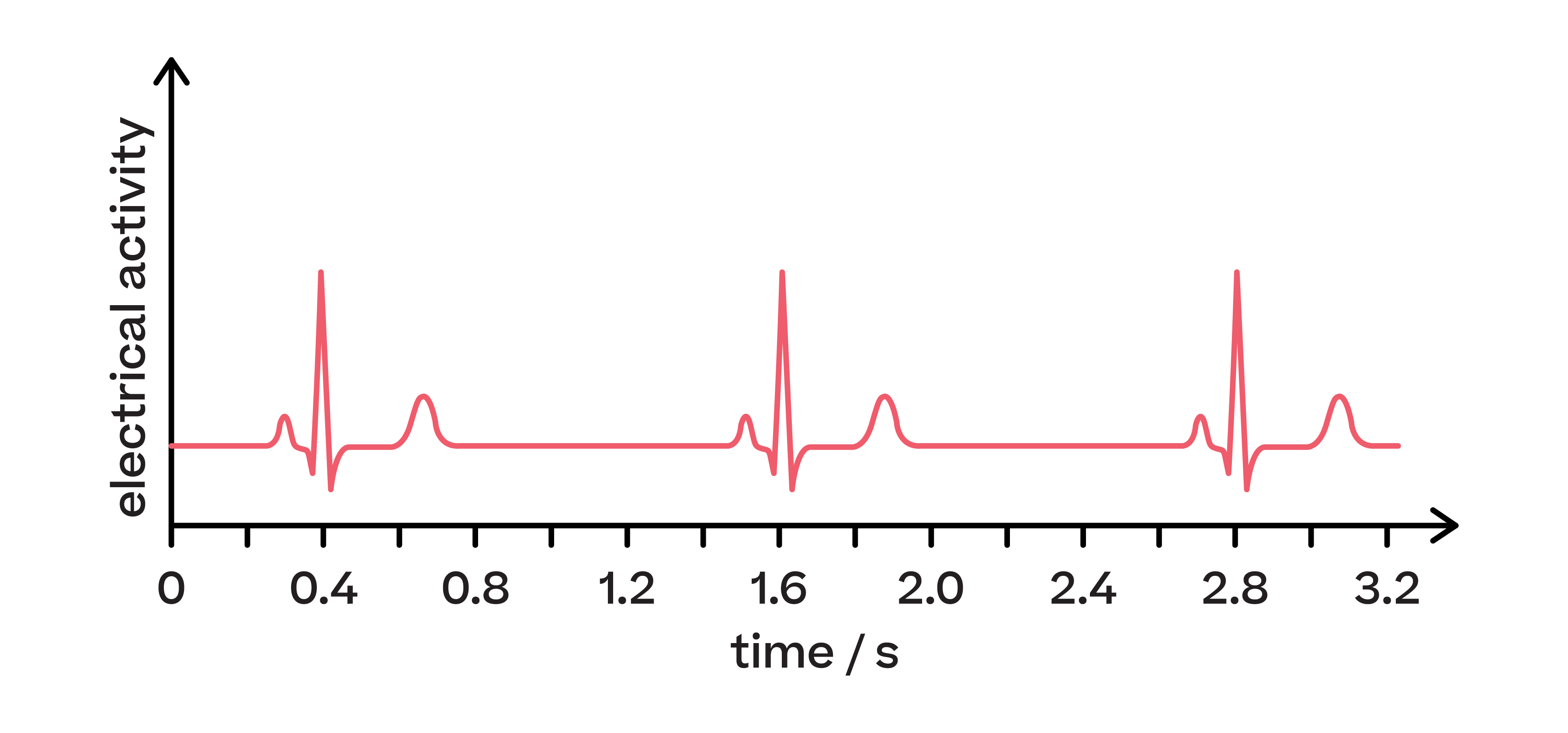 Biology; Exchange and transport; KS5 Year 12; Heart rate regulation and electrocardiograms