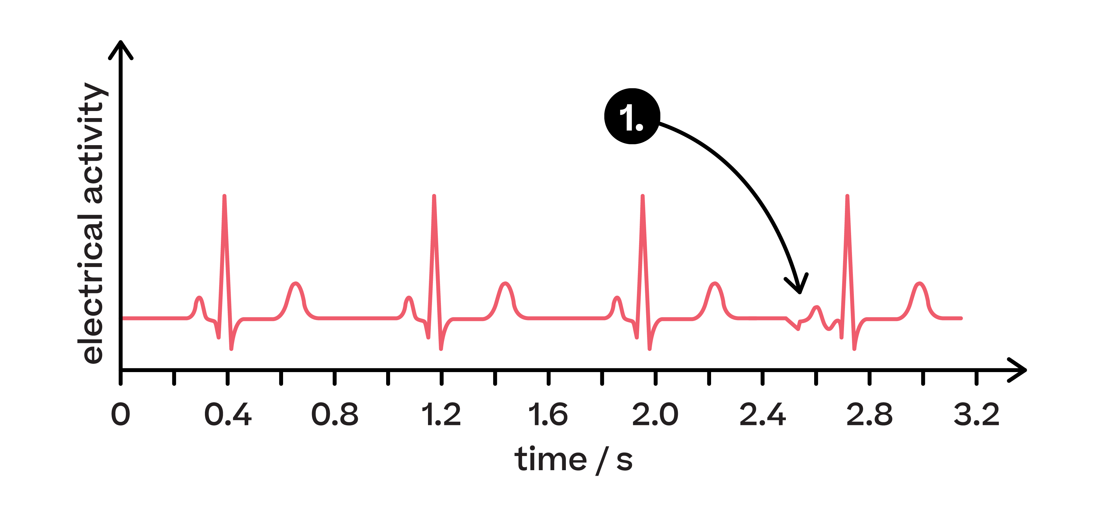 Biology; Exchange and transport; KS5 Year 12; Heart rate regulation and electrocardiograms