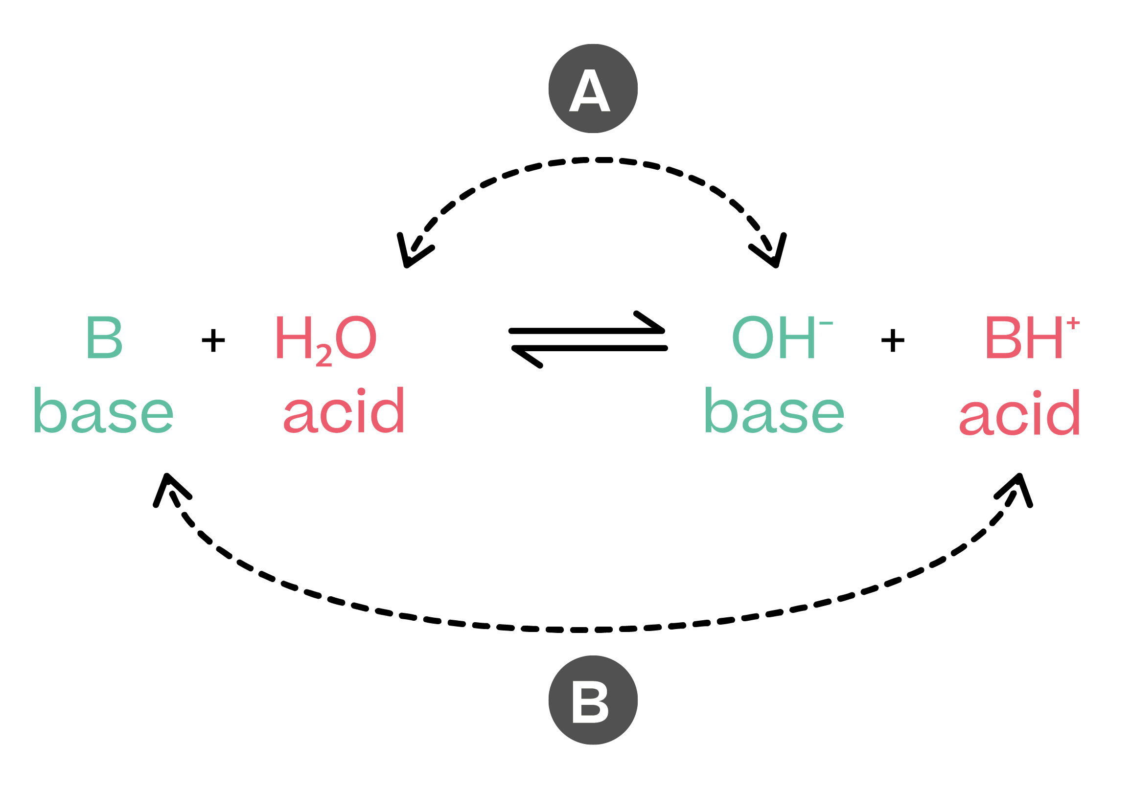 Chemistry; Acid-base equilibria; KS5 Year 12; Acids and bases