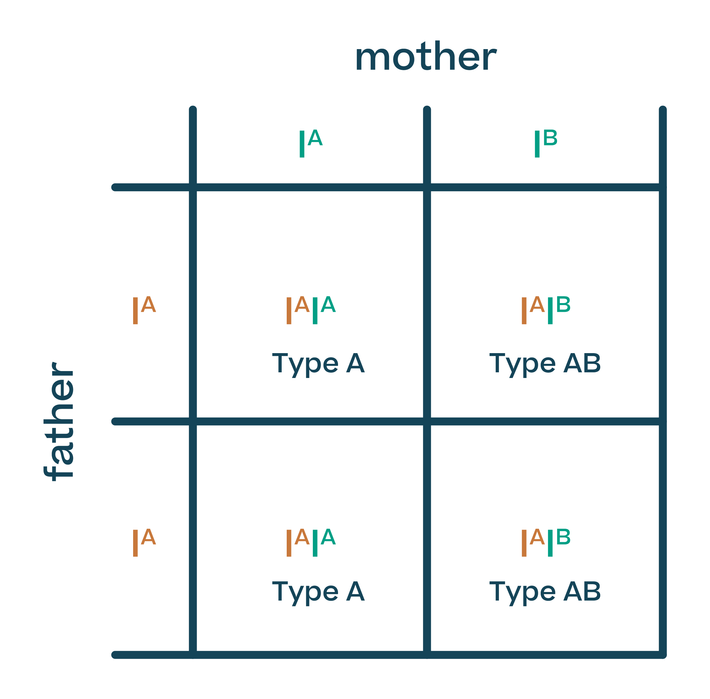 Biology; Genetics; KS4 Year 10; Blood groups, co-dominance and haemophilia