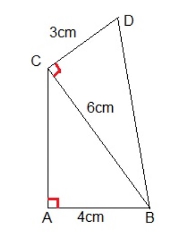 Mathématiques; Droites et angles; CM1; Point, segment et droite