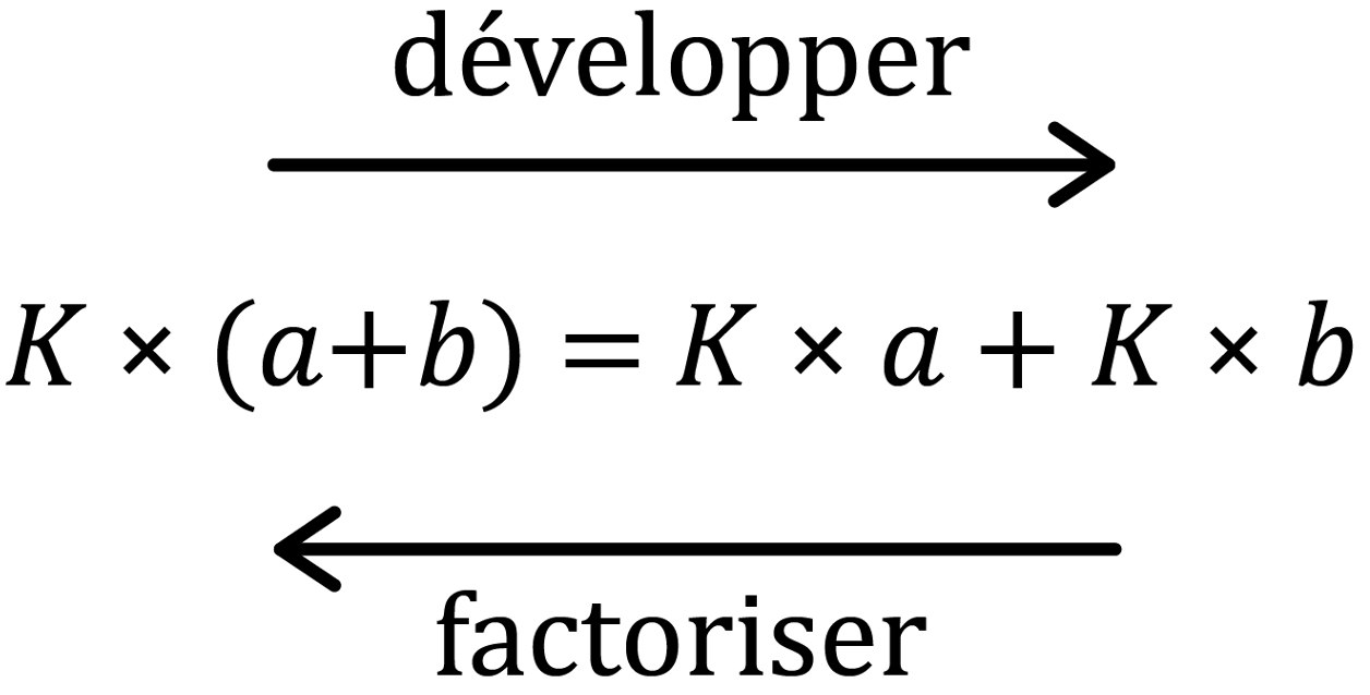 Mathématiques; Factorisation; 5e; Factorisation : distributivité simple