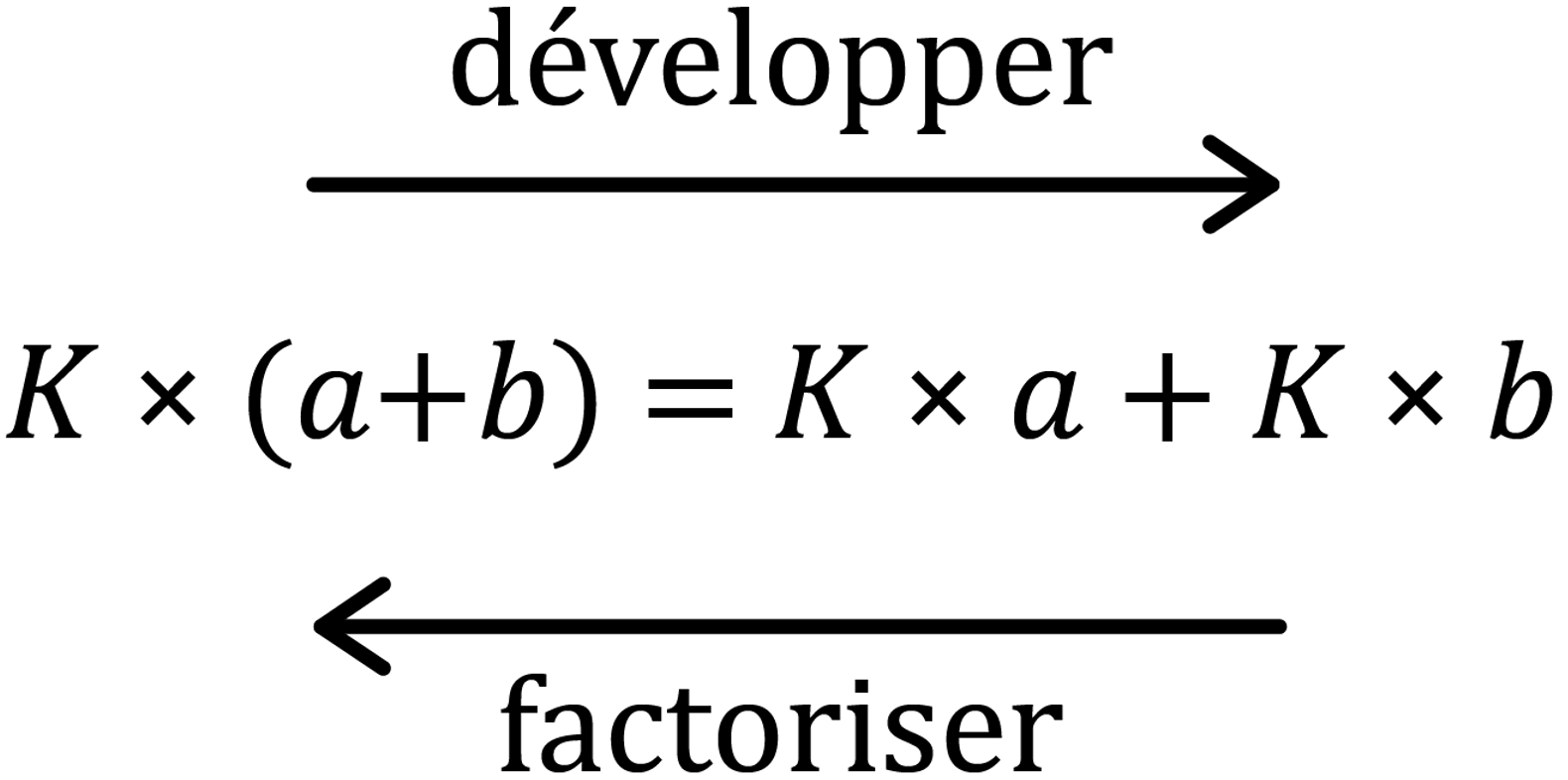 Mathématiques; Factorisation; 3e; Factorisation : simple et double distributivité