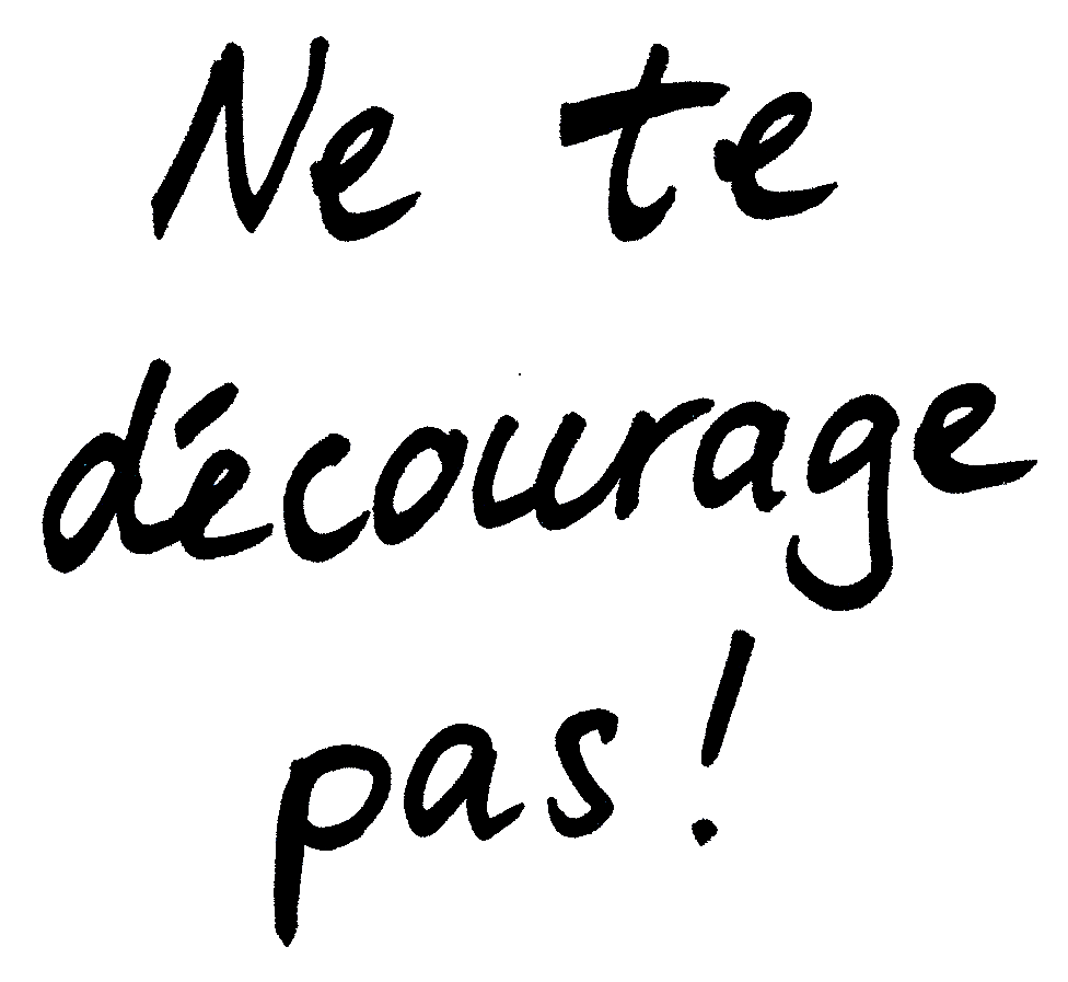 Mathématiques; Quadrilatères; 6e; Quadrilatères : carré, rectangle, losange et trapèze
