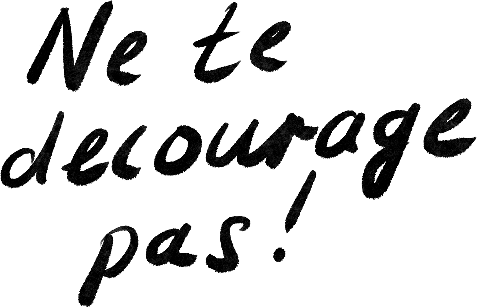 Biologie et physiopathologie humaines; Homéostasie; Tle ST2S; Équilibre dynamique et homéostasie