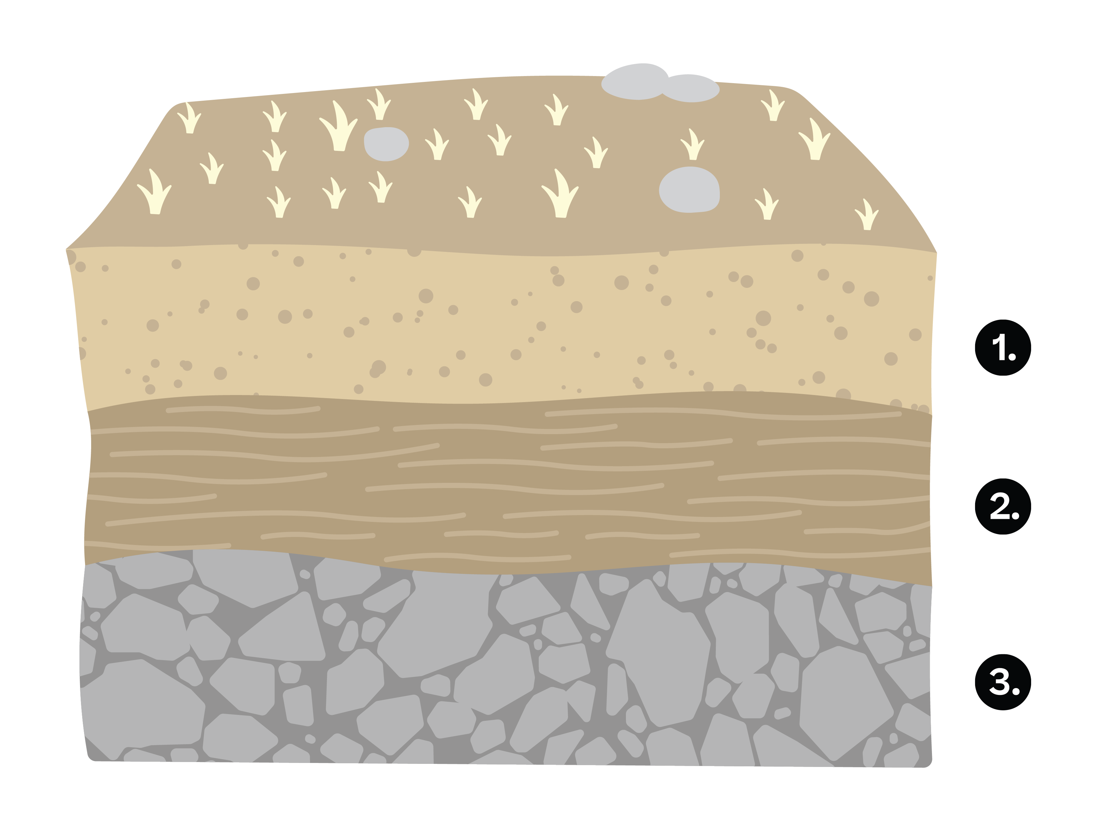 Biologia e Geologia; Rochas; 10º Ano; Rochas sedimentares e sequências estratigráficas