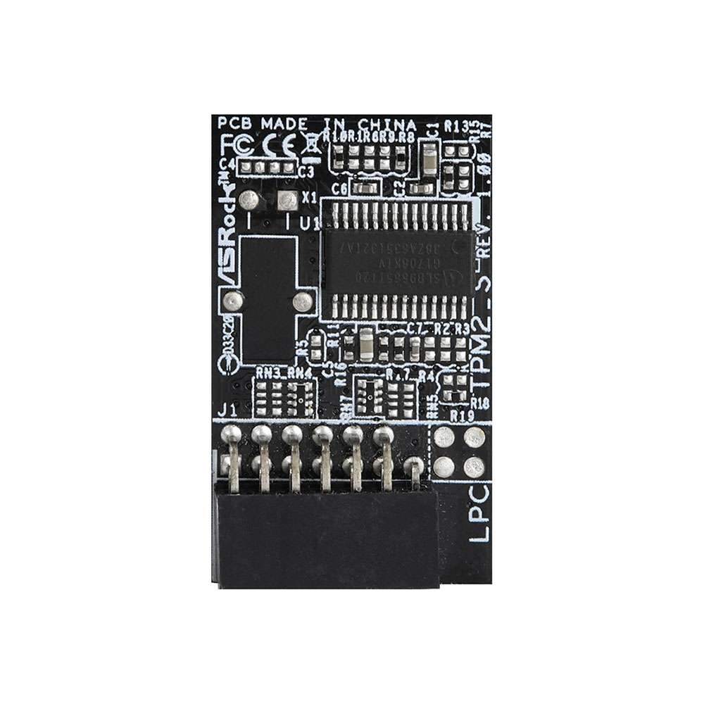 AMBTPM2-SLI_00002.jpeg