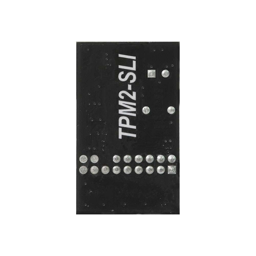 AMBTPM2-SLI_00003.jpeg