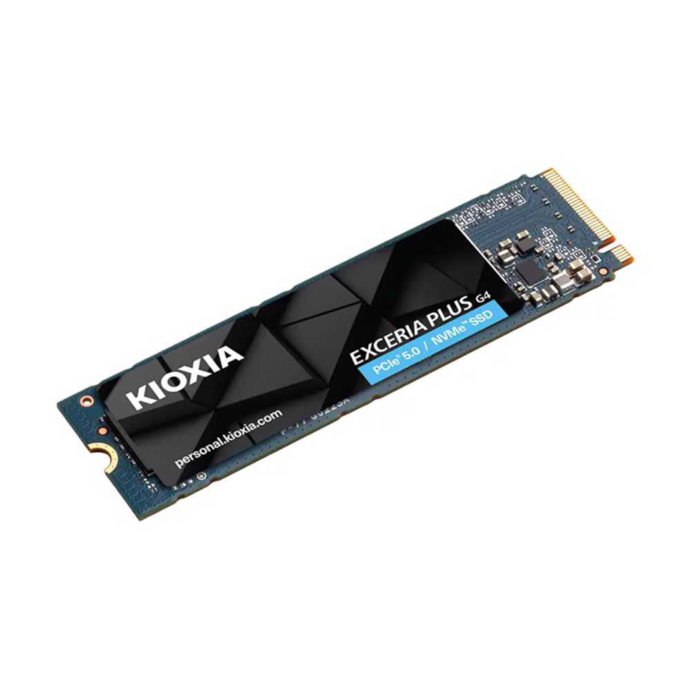 SSD 1Tb Kioxia Exceria Plus G4 NVMe M.2 Type 2280