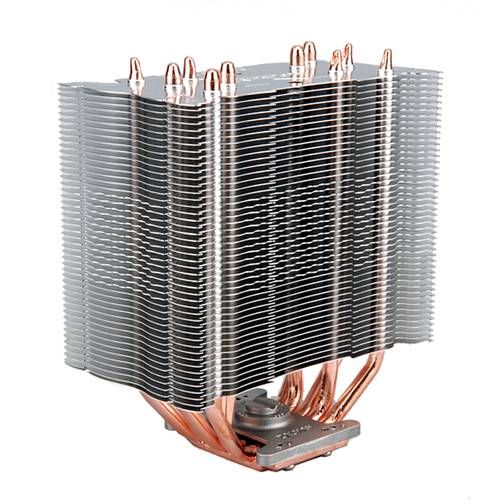 MICOZA10X-PERPL_00004.jpg