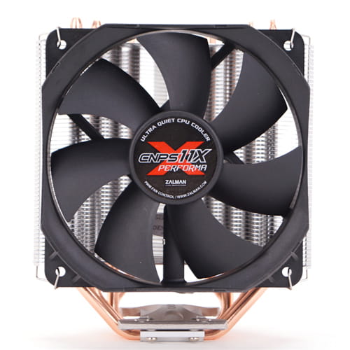 MICOZA11X-PERPL_00002.jpg
